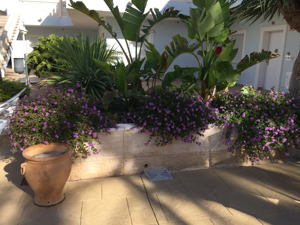Lejlighed i Benissa, Alicante - foto 2