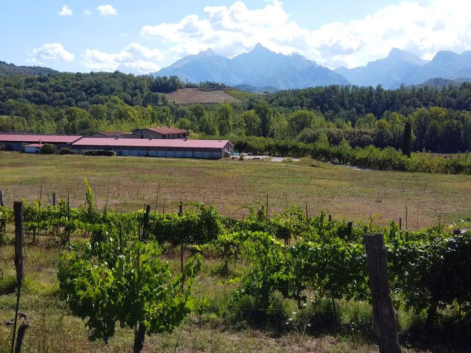 Herregård i Fivizzano, Massa and Carrara - bilde 2
