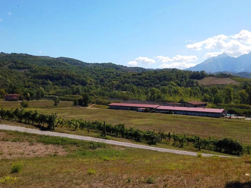 Herregård i Fivizzano, Massa and Carrara - bilde 3