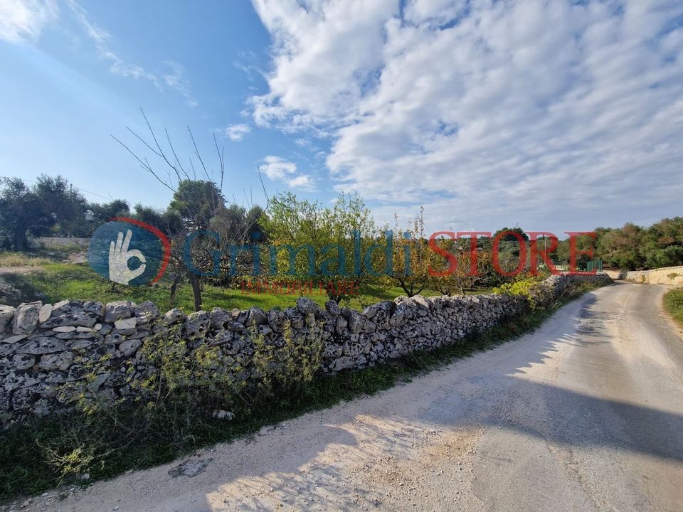 Terra a Ostuni, Brindisi - foto 3