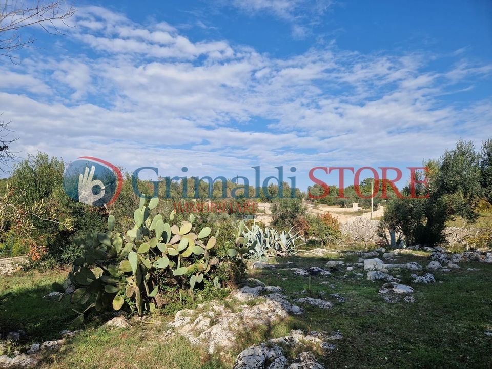 Terra a Ostuni, Brindisi - foto 4
