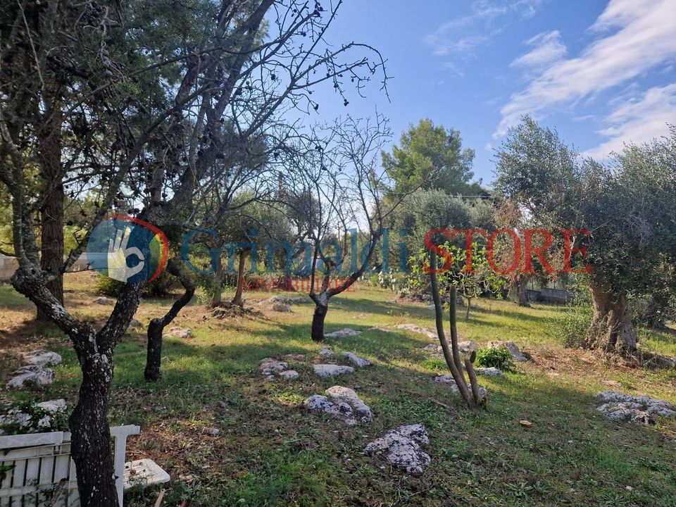Terra a Ostuni, Brindisi - foto 5