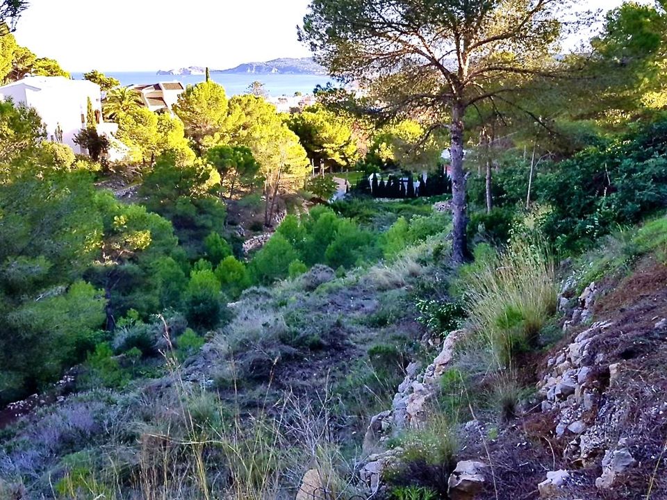 Helårsgrund i Javea, Alicante - foto 1