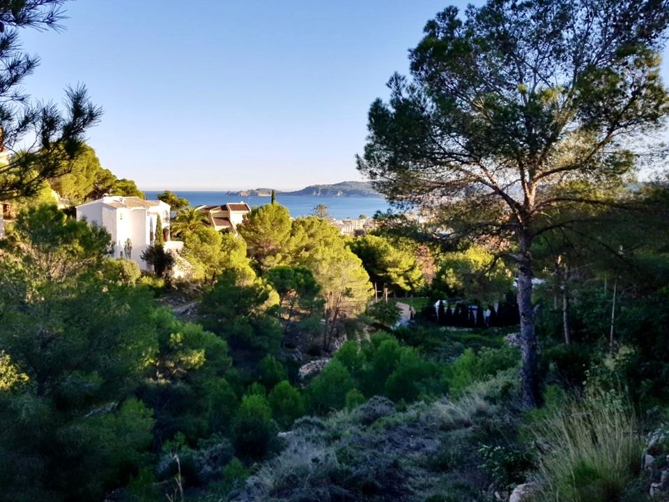 Helårsgrund i Javea, Alicante - foto 5
