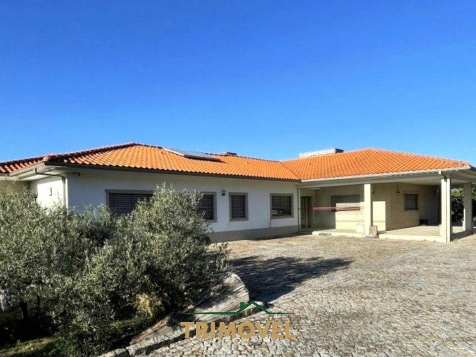 Farm i Lamego, Viseu - foto 1