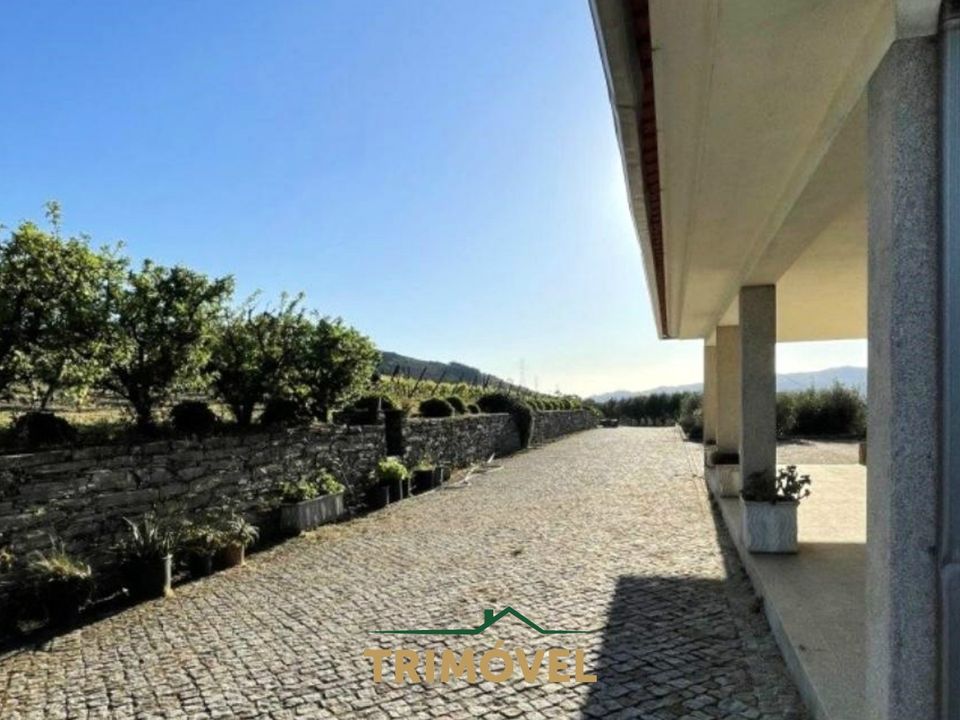 Farm i Lamego, Viseu - foto 3