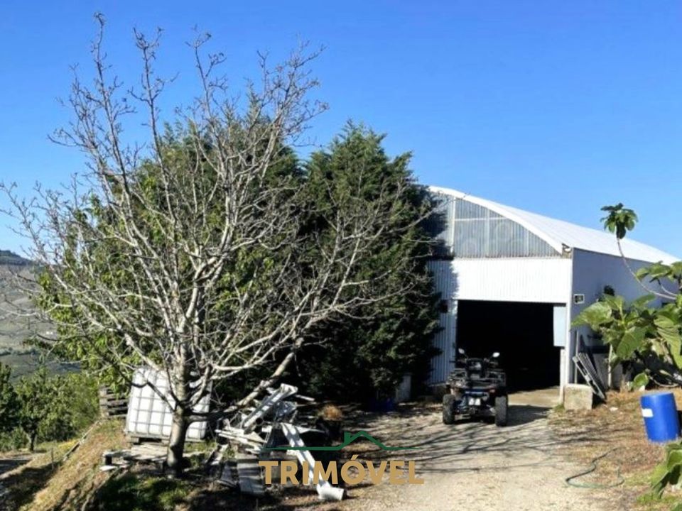 Farm i Lamego, Viseu - foto 5