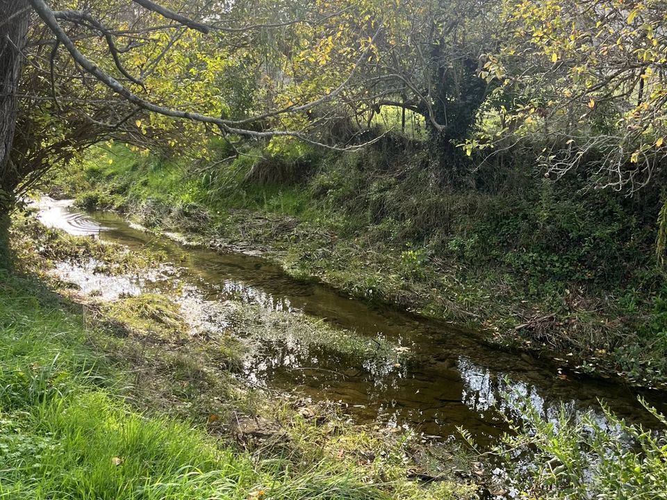 Grond in Bugarach, Aude - foto 5