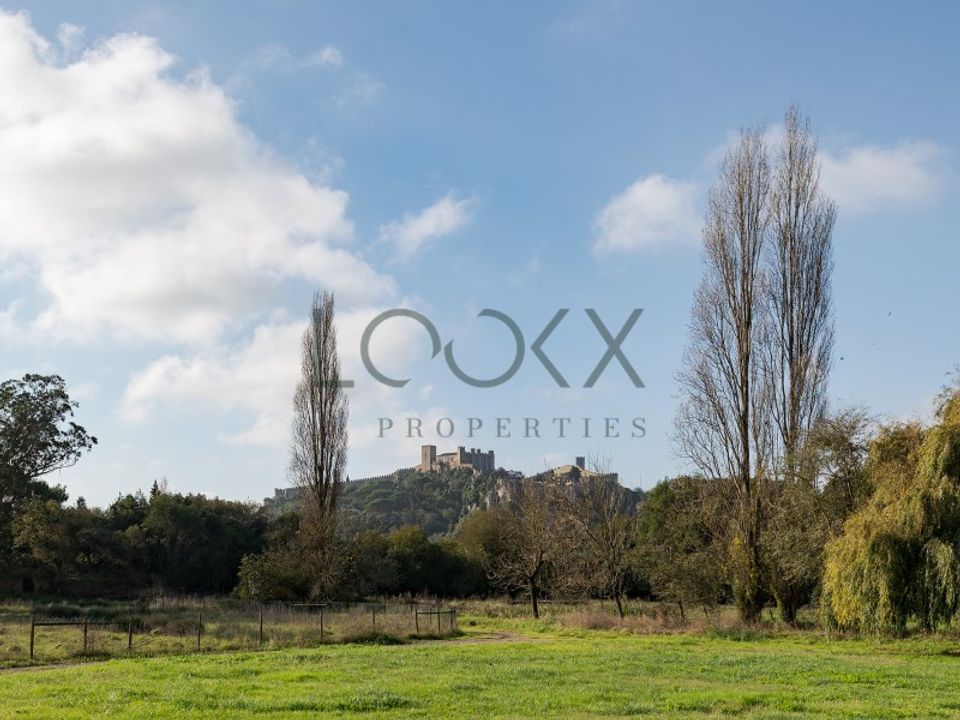 Farm i Obidos, Leiria - foto 3