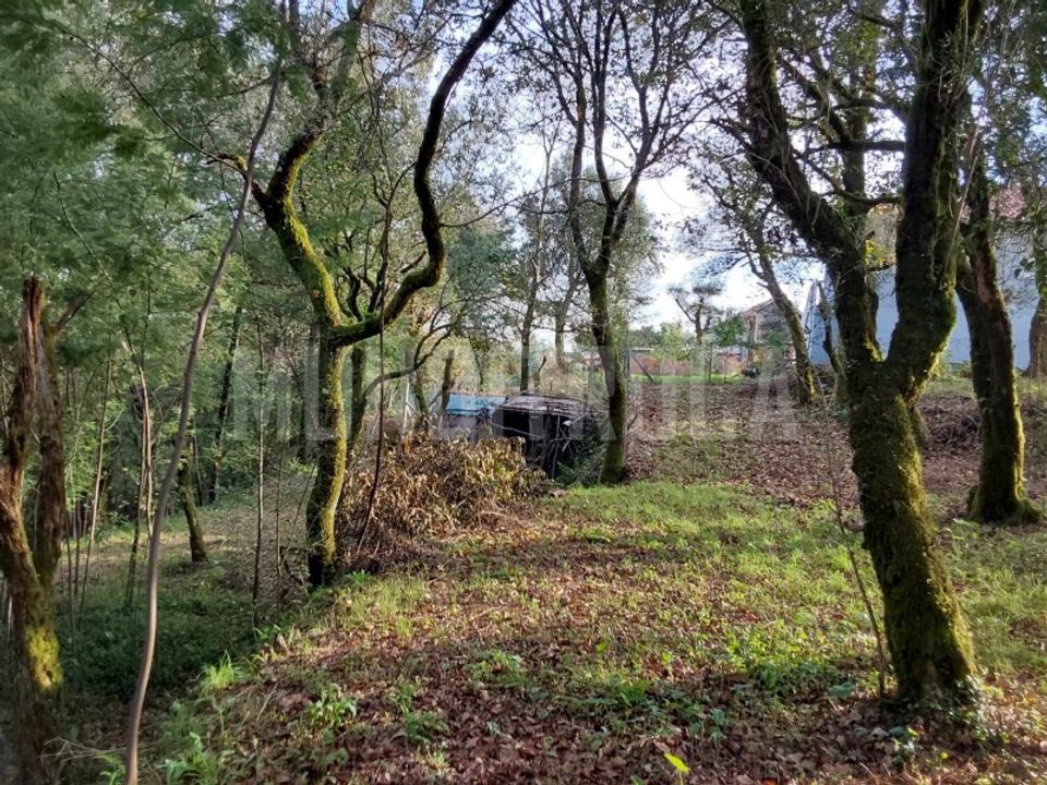 Helårsgrund i Vila Verde, Braga - foto 3