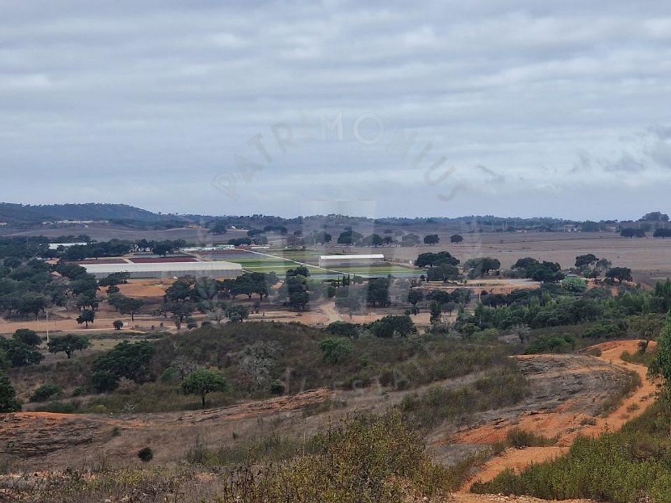 Terreno en Colos, Beja - foto 1