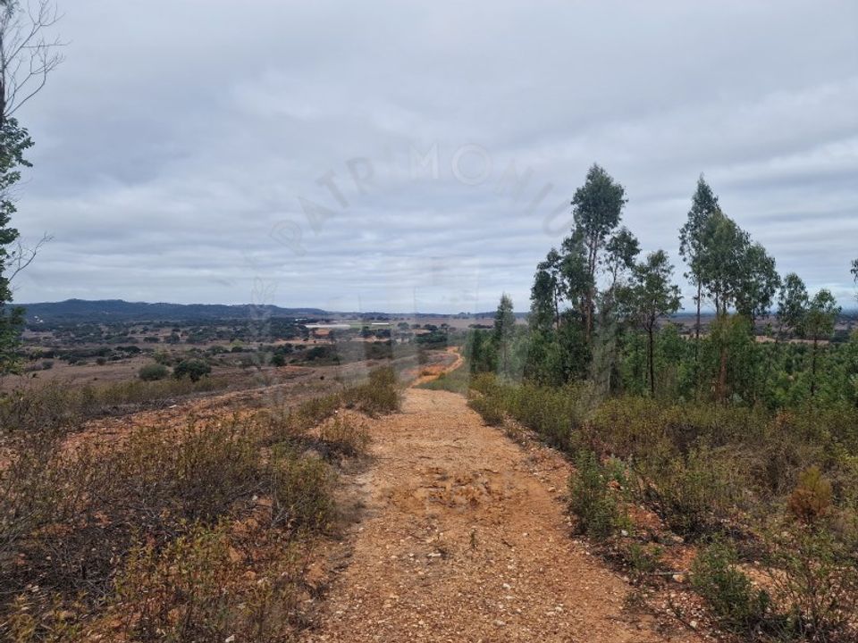 Terreno en Colos, Beja - foto 2