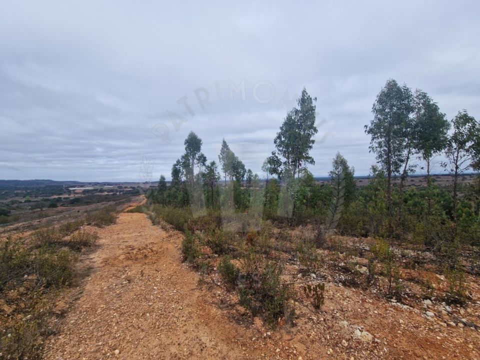 Terreno en Colos, Beja - foto 4