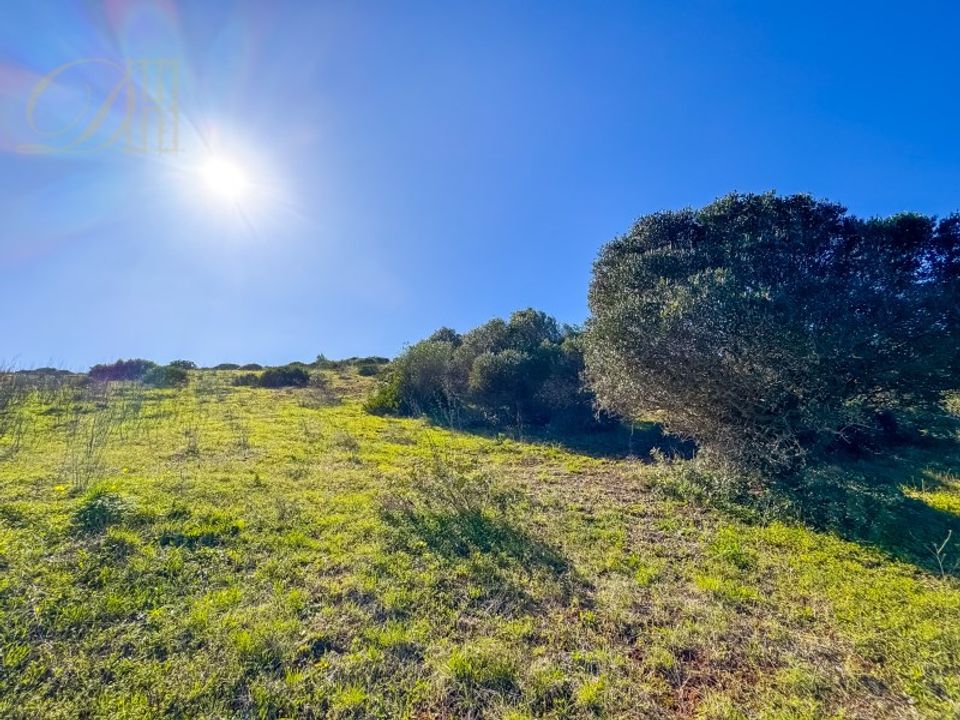 Helårsgrund i Sagres, Faro - foto 3
