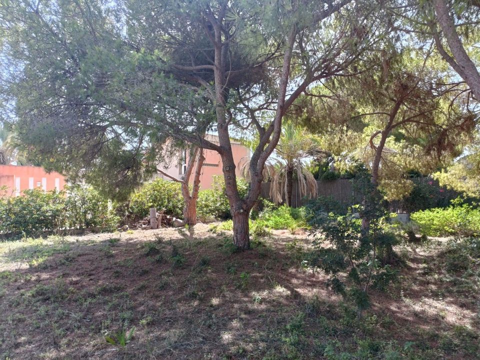 Helårsgrund i Cabo Roig, Alicante - foto 5