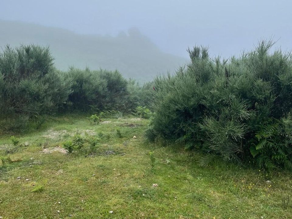 Helårsgrund i Vieira do Minho, Braga - foto 1