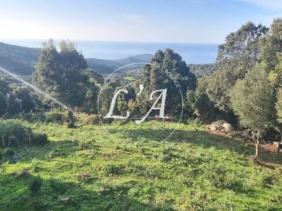 Terra em Coti-Chiavari, Corse-du-Sud - foto 5
