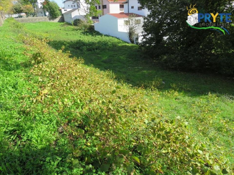 Helårsgrund i Serta, Castelo Branco - foto 3