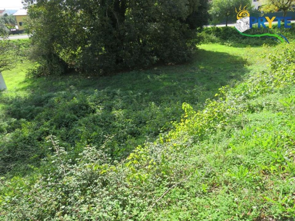 Helårsgrund i Serta, Castelo Branco - foto 4