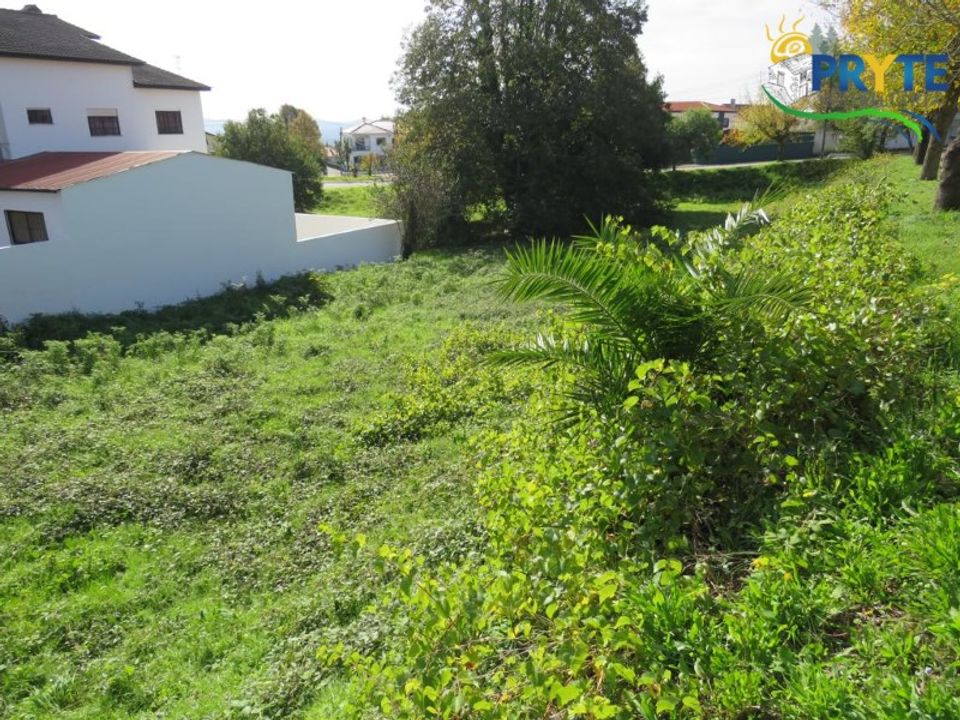 Helårsgrund i Serta, Castelo Branco - foto 2