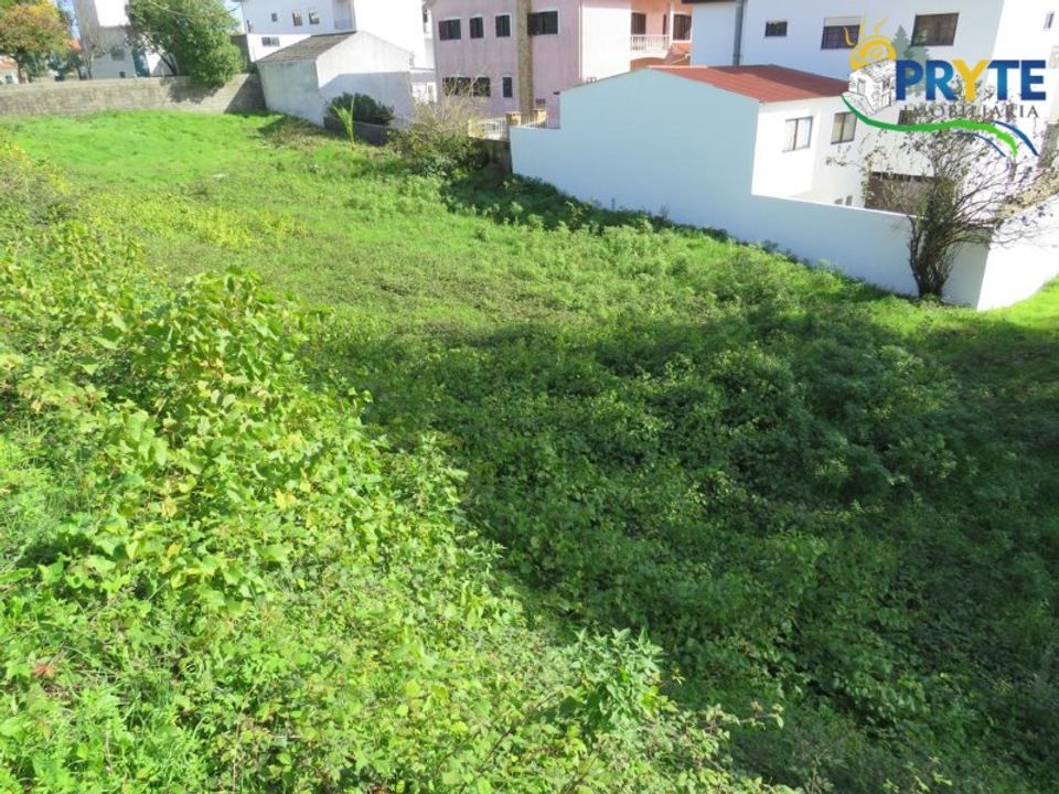 Helårsgrund i Serta, Castelo Branco - foto 4