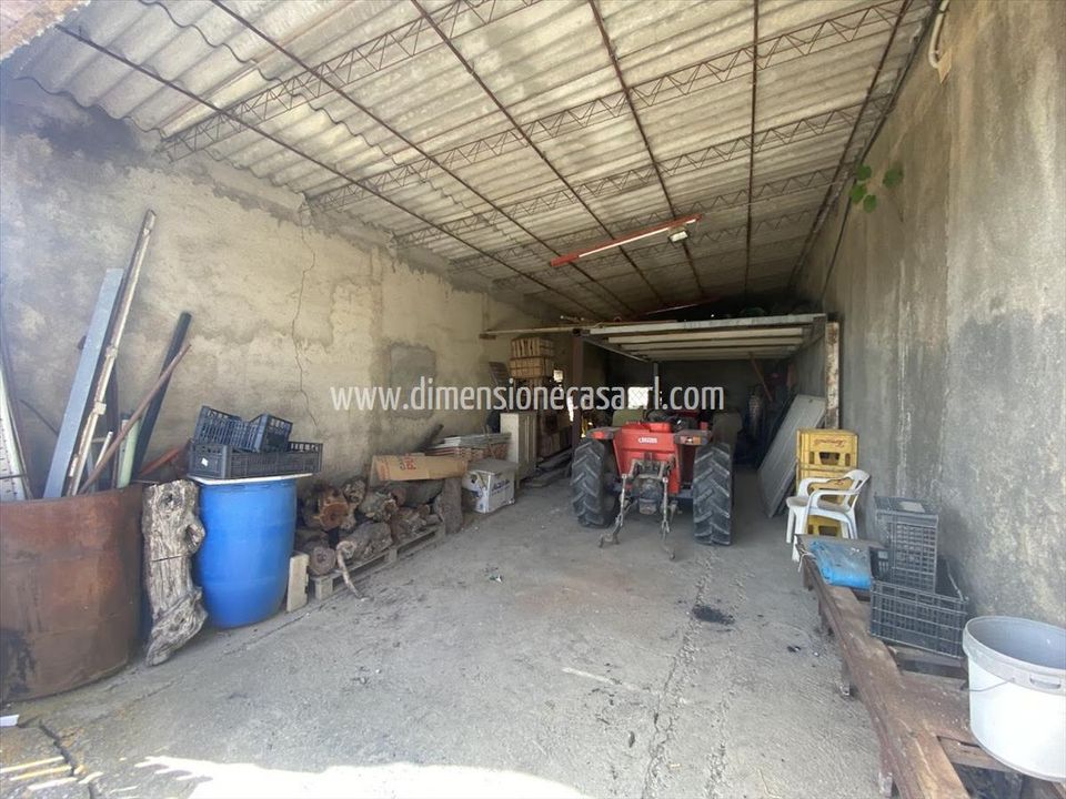 Farm i Caltanissetta, Caltanissetta - foto 4