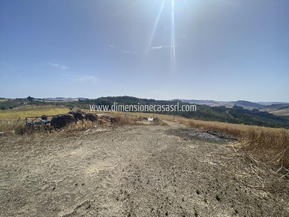 Farm i Caltanissetta, Caltanissetta - foto 5