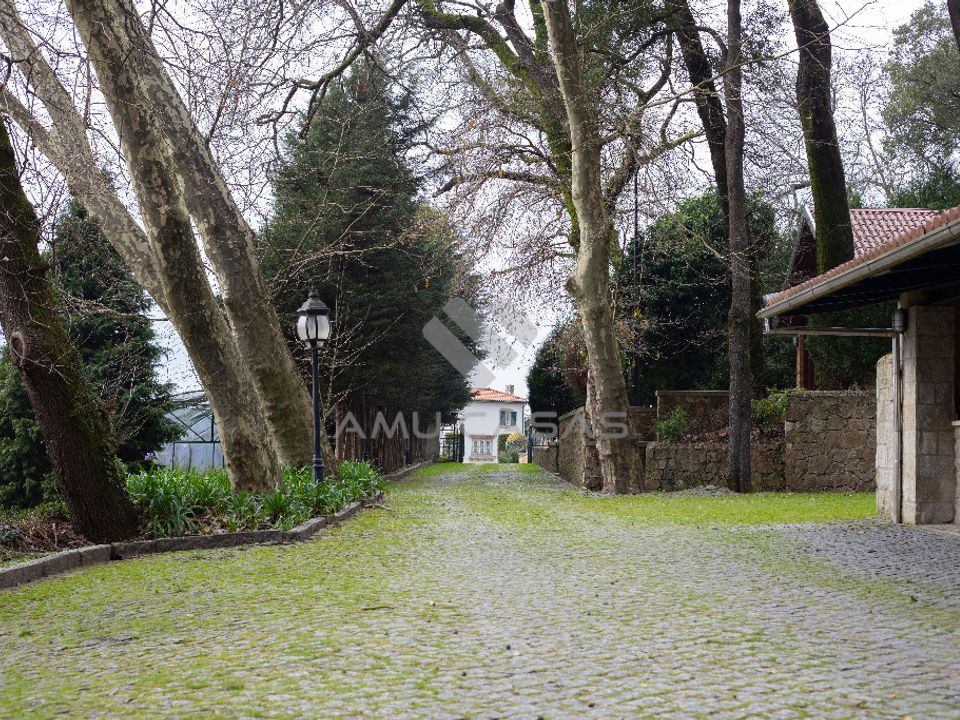 Farm i Oliveira de Azemeis, Aveiro - foto 1