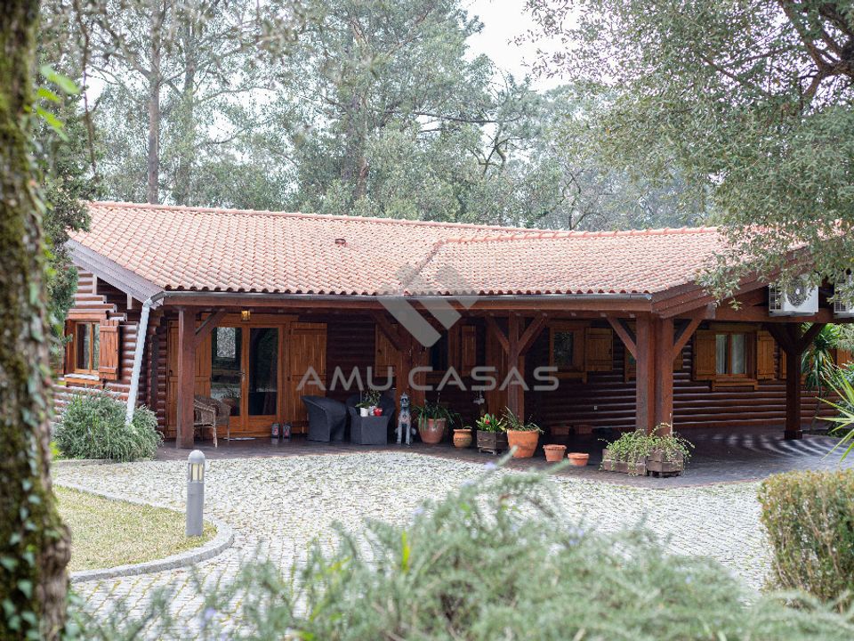 Farm i Oliveira de Azemeis, Aveiro - foto 3