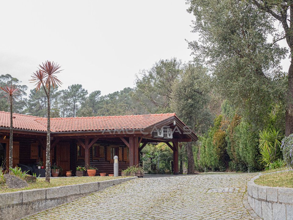 Farm i Oliveira de Azemeis, Aveiro - foto 4
