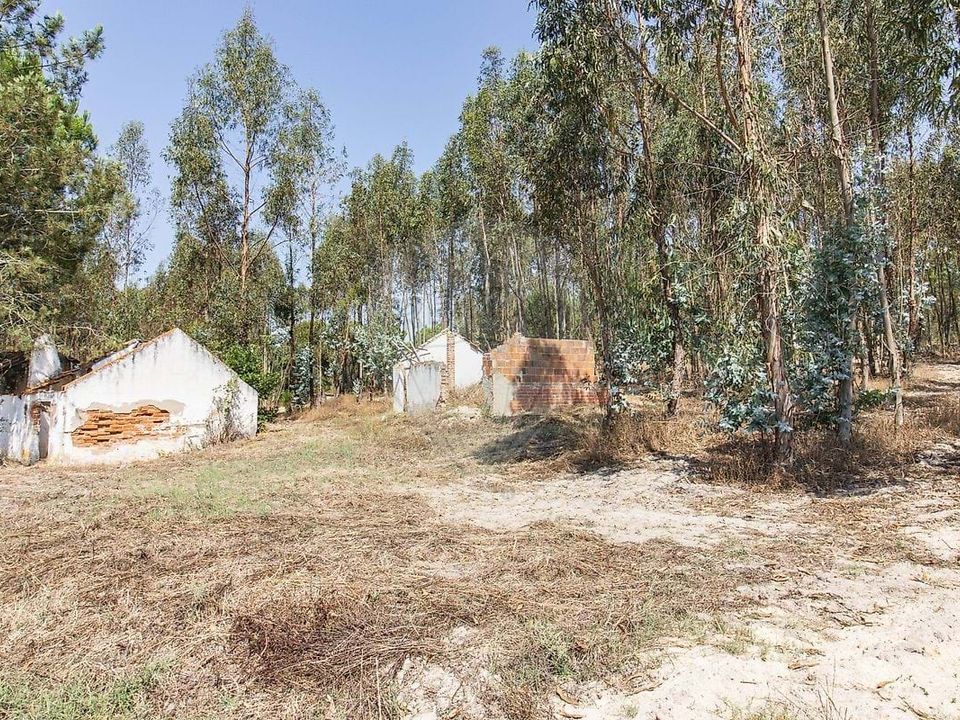 Villa i Coruche, Santarem - foto 4