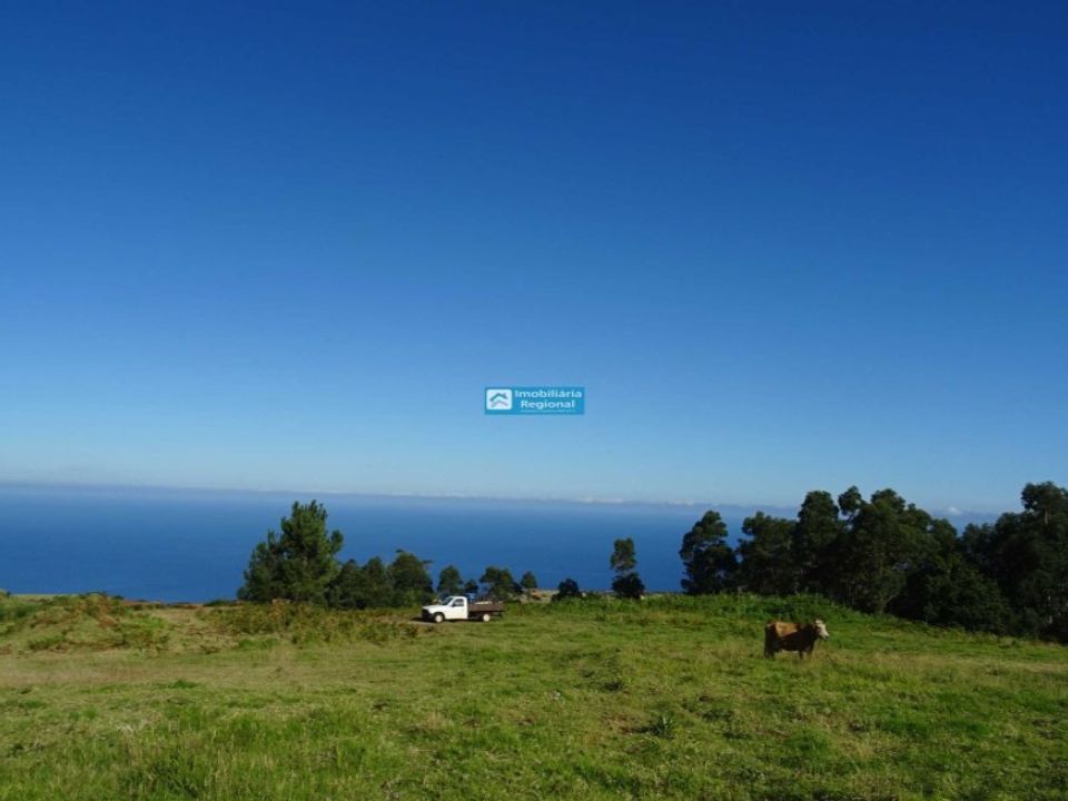 Helårsgrund i Ponta do Pargo, Madeira - foto 1