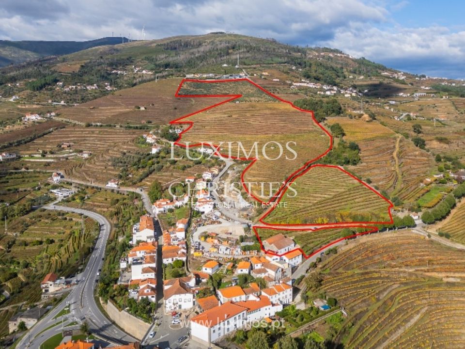Farm i Mesao Frio, Vila Real - foto 1