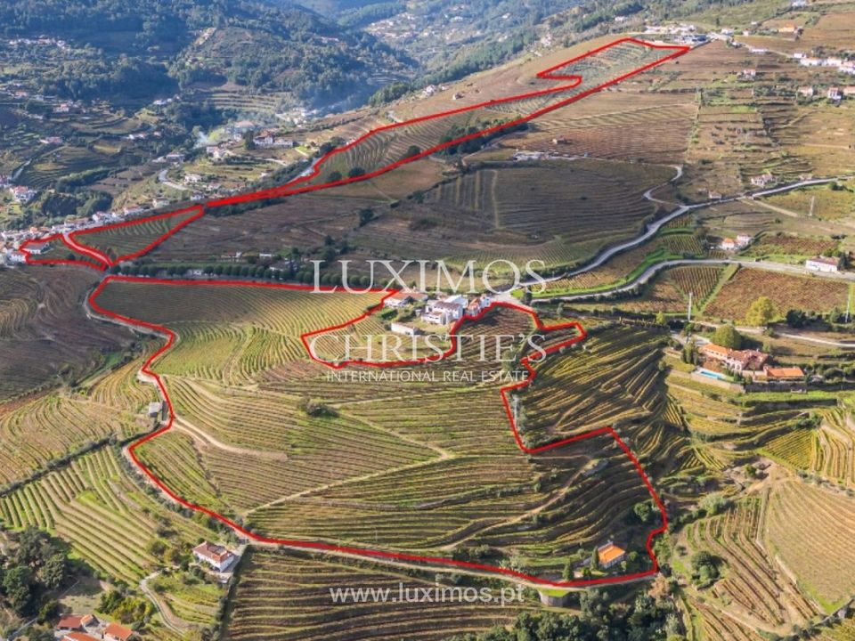 Farm i Mesao Frio, Vila Real - foto 3