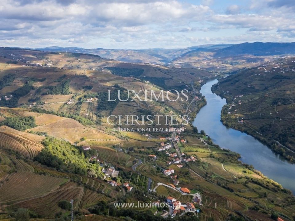 Farm i Mesao Frio, Vila Real - foto 4