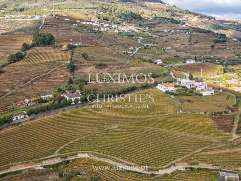 Farm i Mesao Frio, Vila Real - foto 5