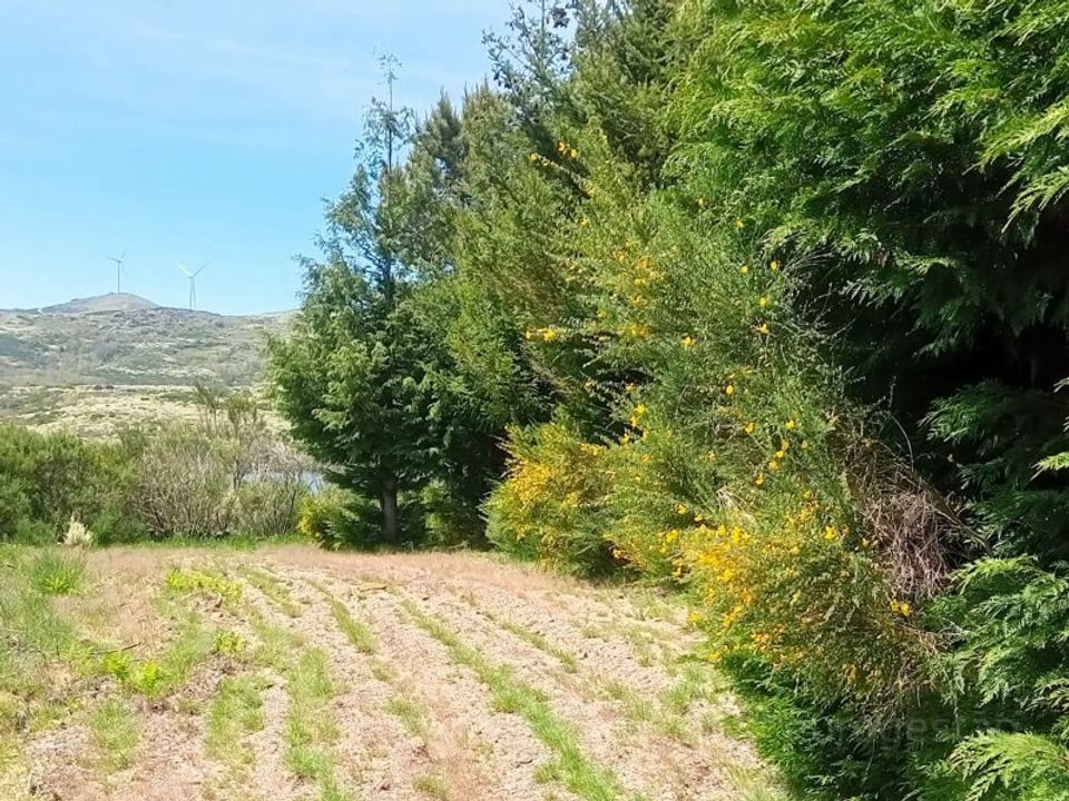 Helårsgrund i Bigorne, Viseu - foto 4