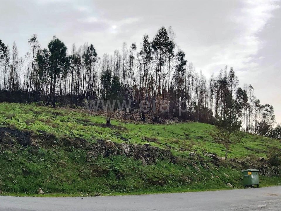 Helårsgrund i Povoa de Lanhoso, Braga - foto 2