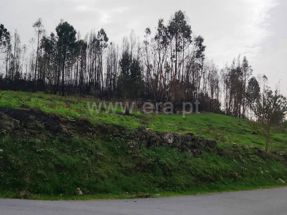 Helårsgrund i Povoa de Lanhoso, Braga - foto 3