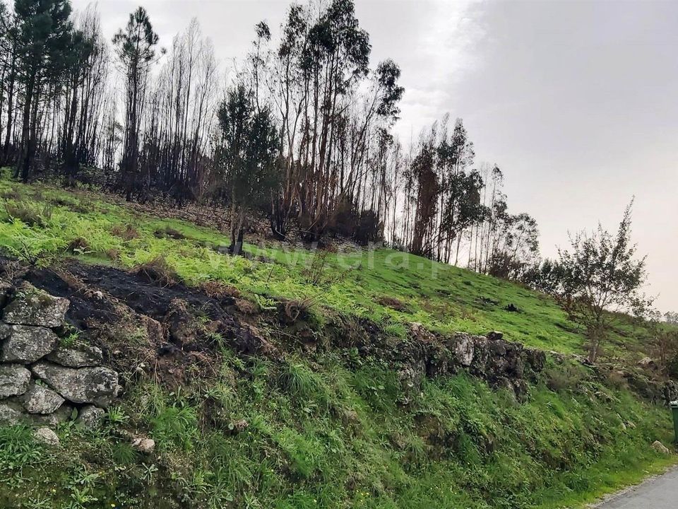 Helårsgrund i Povoa de Lanhoso, Braga - foto 4
