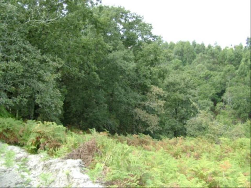 Helårsgrund i Vieira do Minho, Braga - foto 1