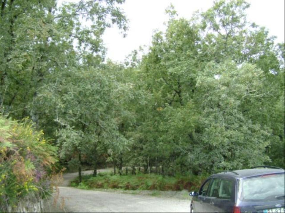 Helårsgrund i Vieira do Minho, Braga - foto 4