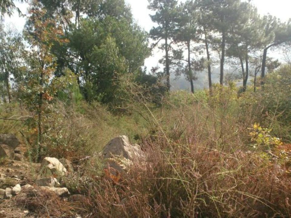 Helårsgrund i Povoa de Lanhoso, Braga - foto 3