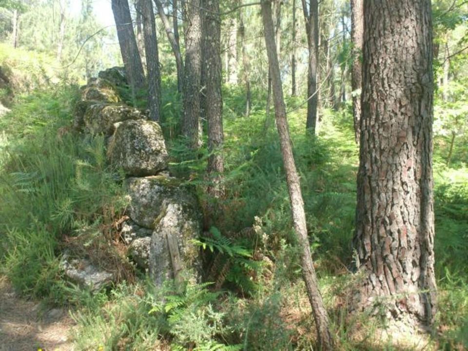 Helårsgrund i Povoa de Lanhoso, Braga - foto 4