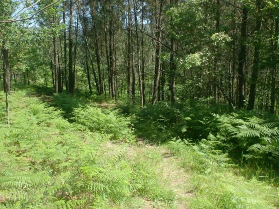 Helårsgrund i Povoa de Lanhoso, Braga - foto 5