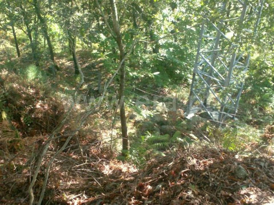 Helårsgrund i Vieira do Minho, Braga - foto 1