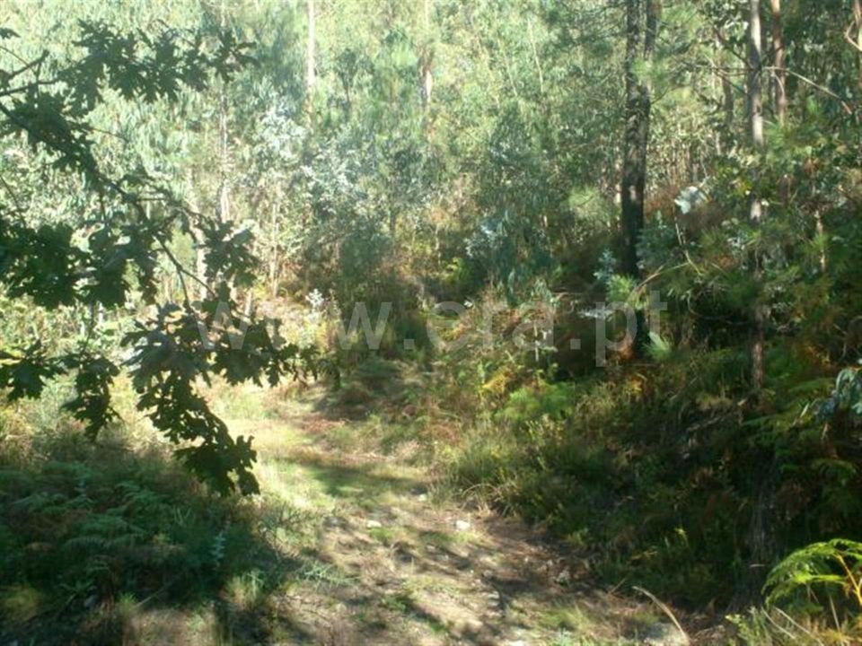 Helårsgrund i Vieira do Minho, Braga - foto 4