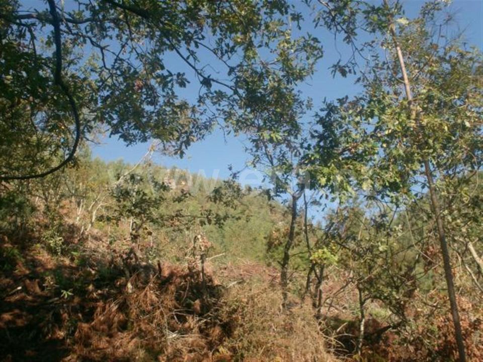Helårsgrund i Vieira do Minho, Braga - foto 5