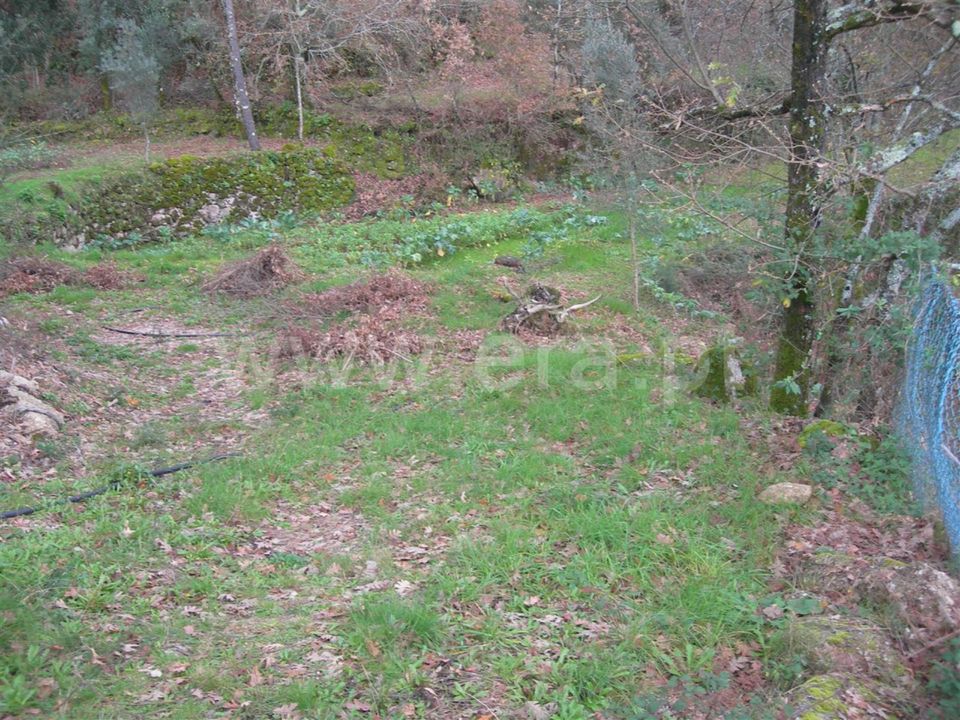 Erhvervsejendom i Vieira do Minho, Braga - foto 3