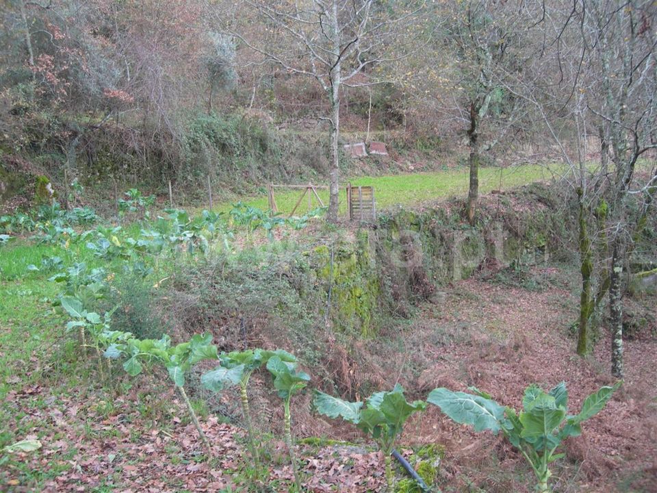 Erhvervsejendom i Vieira do Minho, Braga - foto 5